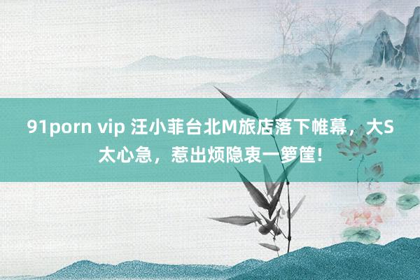 91porn vip 汪小菲台北M旅店落下帷幕，大S太心急，惹出烦隐衷一箩筐!