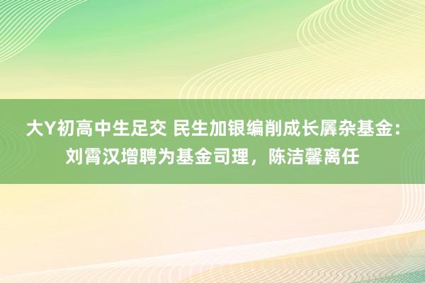 大Y初高中生足交 民生加银编削成长羼杂基金：刘霄汉增聘为基金司理，陈洁馨离任