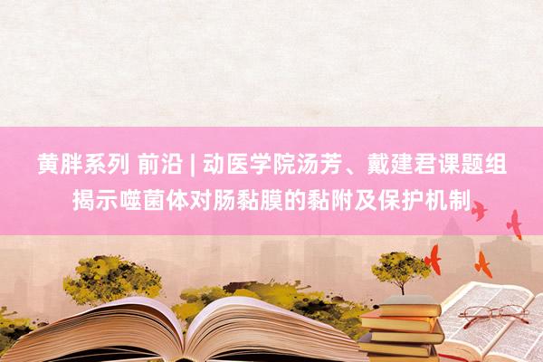 黄胖系列 前沿 | 动医学院汤芳、戴建君课题组揭示噬菌体对肠黏膜的黏附及保护机制