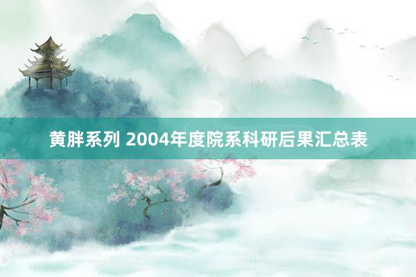 黄胖系列 2004年度院系科研后果汇总表