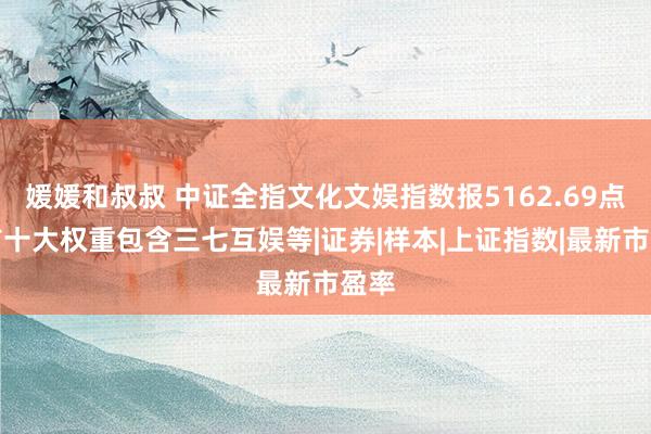 媛媛和叔叔 中证全指文化文娱指数报5162.69点，前十大权重包含三七互娱等|证券|样本|上证指数|最新市盈率